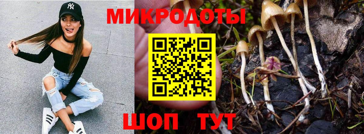 Галлюциногенные грибы Magic Shrooms Волжский