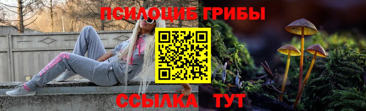 Волжский  Псилоцибиновые грибы Psilocybe  Вход с VPN 