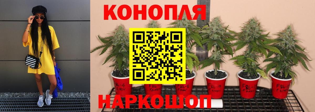 Конопля Amnesia Волжский
